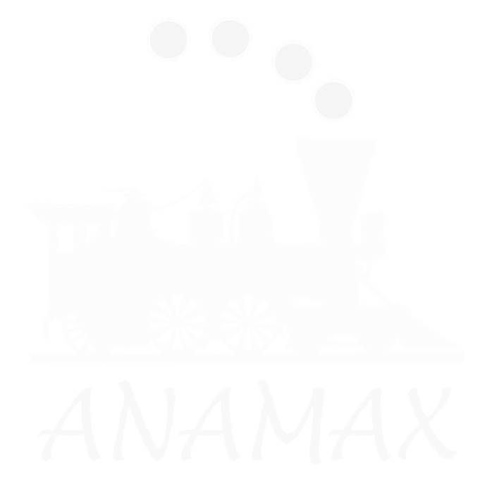 anamax logo male biale